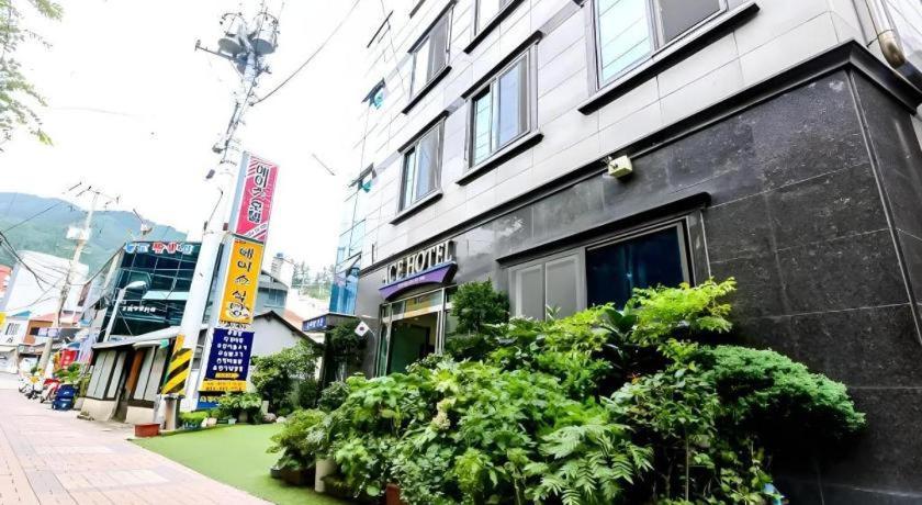 Ace Hotel Ulleungdo Exterior foto